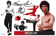 Bruce Lee WallJammer - AT TEN Distribution
