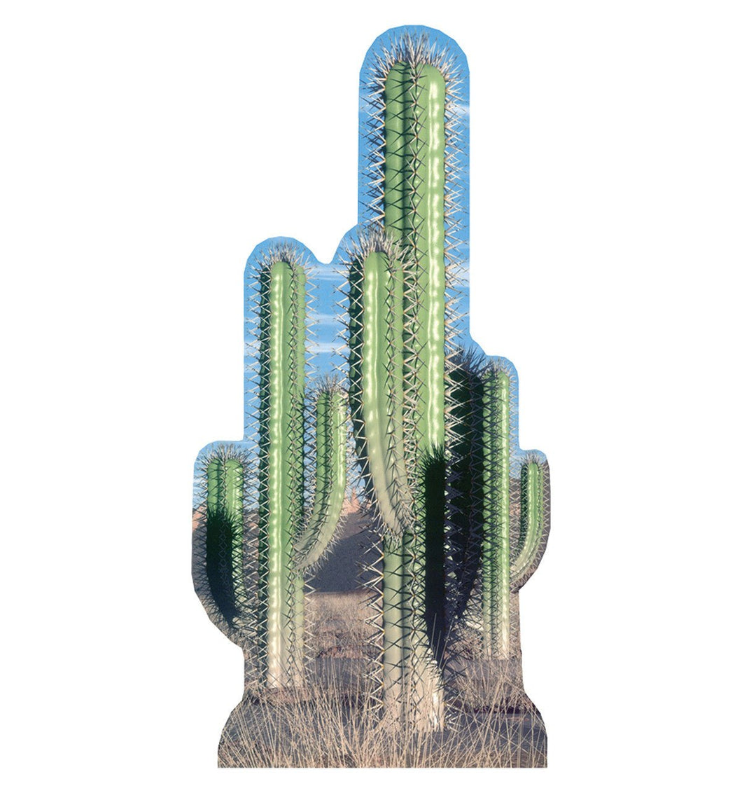Cactus Group - Cardboard Cutout - AT TEN Distribution