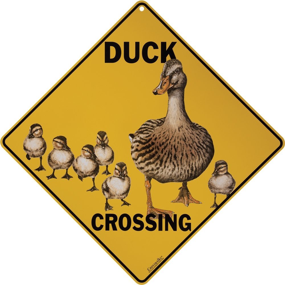 CROSSWALKS Duck Crossing 12