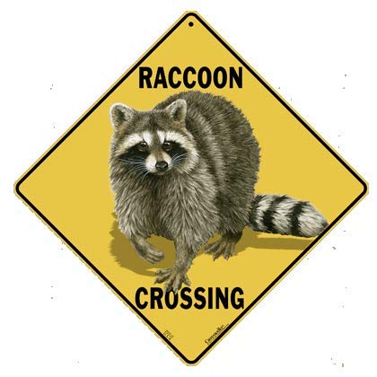 CROSSWALKS Raccoon Crossing 12