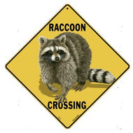 CROSSWALKS Raccoon Crossing 12