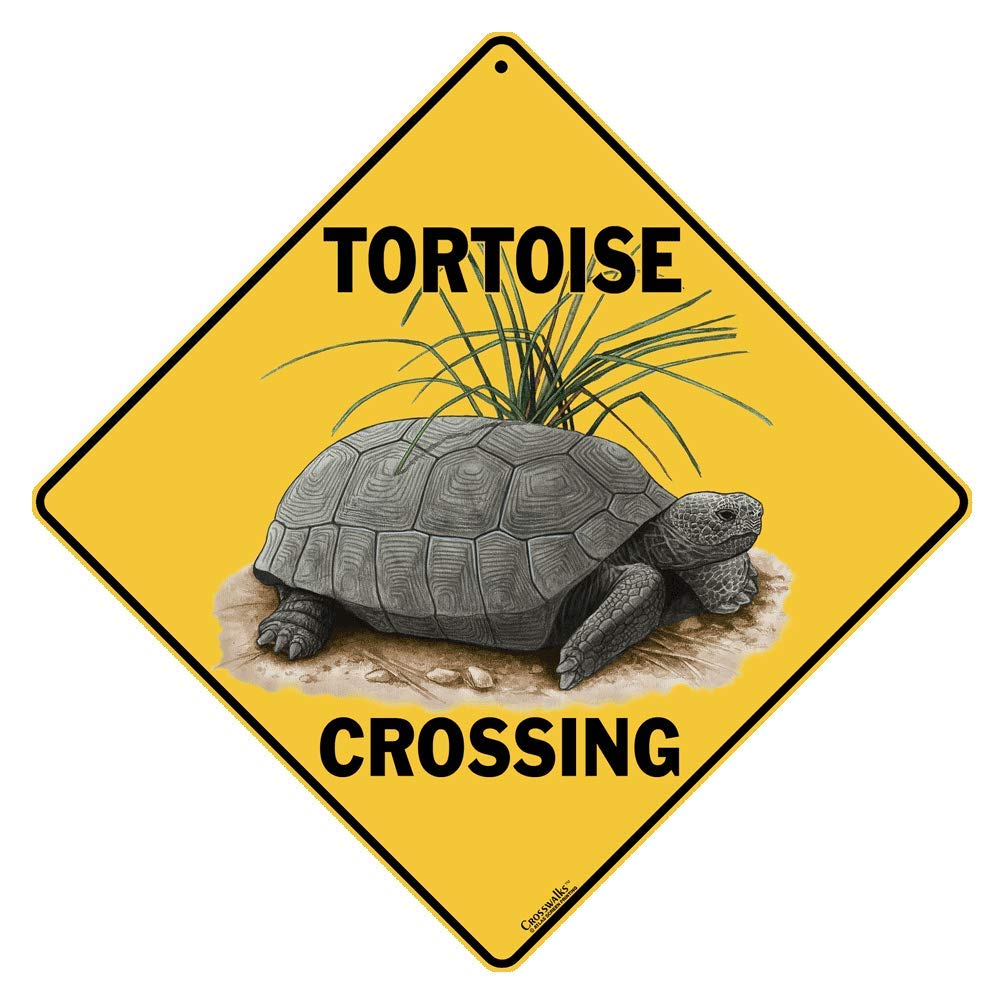 CROSSWALKS Tortoise Crossing 12
