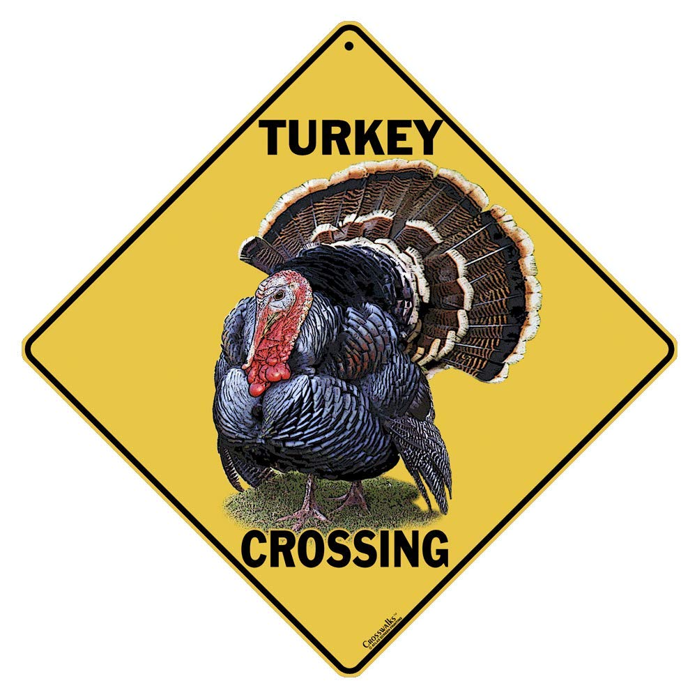 CROSSWALKS Turkey Crossing 12