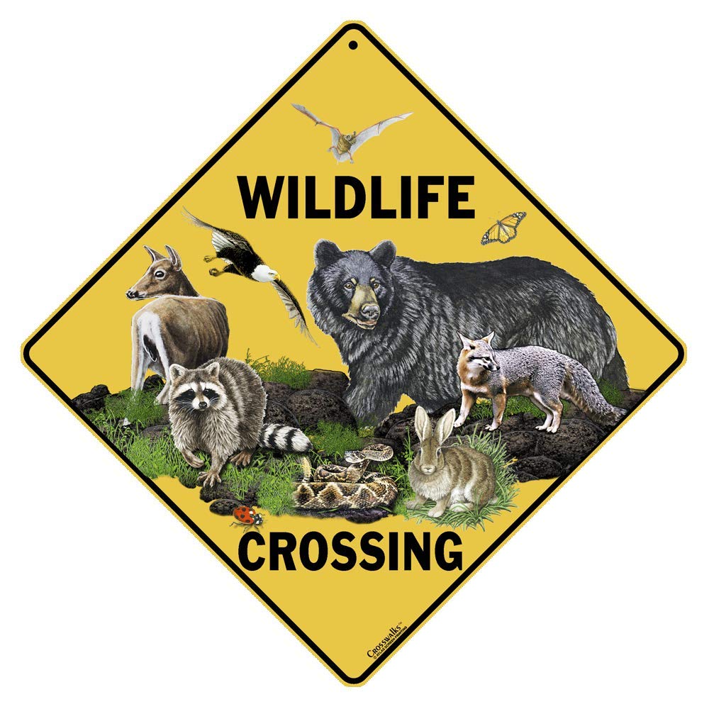 CROSSWALKS Wildlife Crossing 12