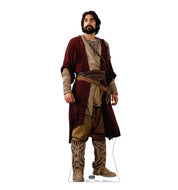 Ezra Bridger Life - Size Cardboard Cutout - AT TEN Distribution