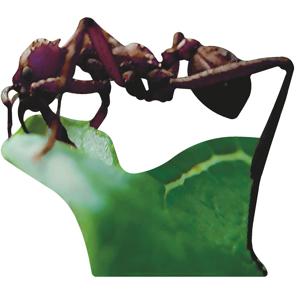 Giant Ant on Leaf Cardboard Cutout Standee Standup - AT TEN Distribution
