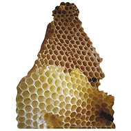 Giant Honey Comb with Bees Cardboard Cutout Standee Standup - AT TEN Distribution