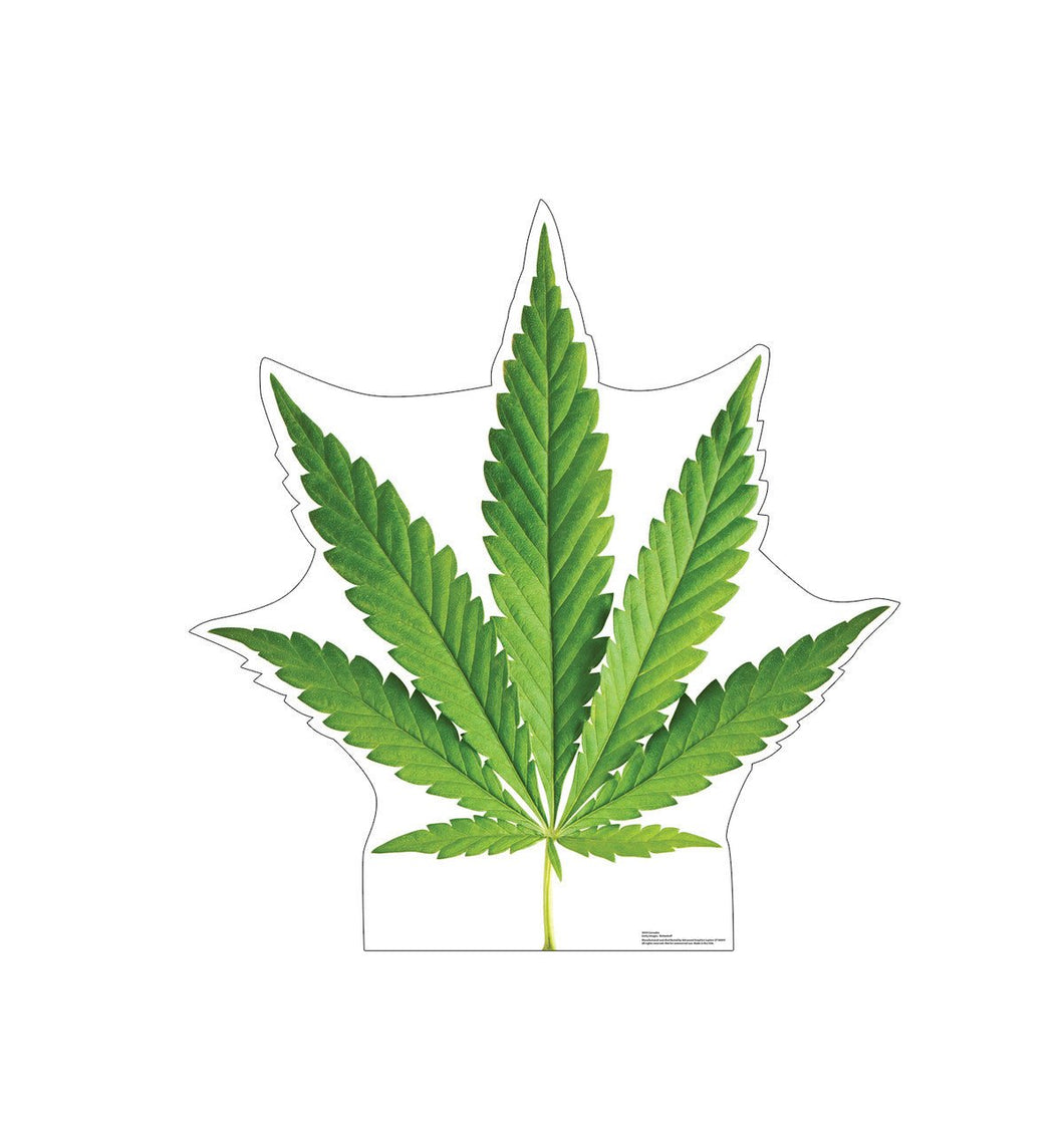 GREEN Leaf Cardboard Cutout - AT TEN Distribution
