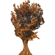 H13146 Autumn Tree Cardboard Cutout - AT TEN Distribution