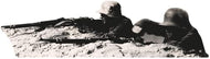 H32030 WW1 WWII World War Soldiers Behind Trench Warfare Cardboard Cutout Standee Standup - AT TEN Distribution