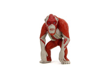 Load image into Gallery viewer, Jada Godzilla x Kong Metalfigs 4 Pack 2.5" Die - Cast Figures, Godzilla, King Kong, Skar, Shimo, Ages 8+ - AT TEN Distribution
