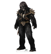 Load image into Gallery viewer, Life - size Cardboard Cutout of Krrsantan - AT TEN Distribution
