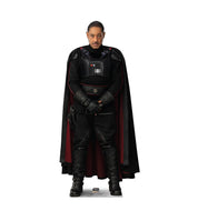Life - size Cardboard Cutout of Moff Gideon Star Wars - AT TEN Distribution