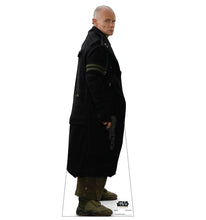 Load image into Gallery viewer, Life - size Cardboard Cutout of The Black Mask - Mercenary - AT TEN Distribution
