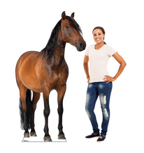 Load image into Gallery viewer, Life - size Horse 2 Cardboard Cutout - AT TEN Distribution
