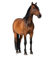 Life - size Horse 2 Cardboard Cutout - AT TEN Distribution