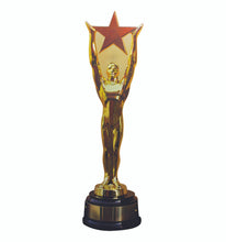 Load image into Gallery viewer, Life - size Star Award Cardboard Cutout - AT TEN Distribution
