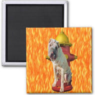 Manual GOTTA GO MAGNETS S/5 - AT TEN Distribution