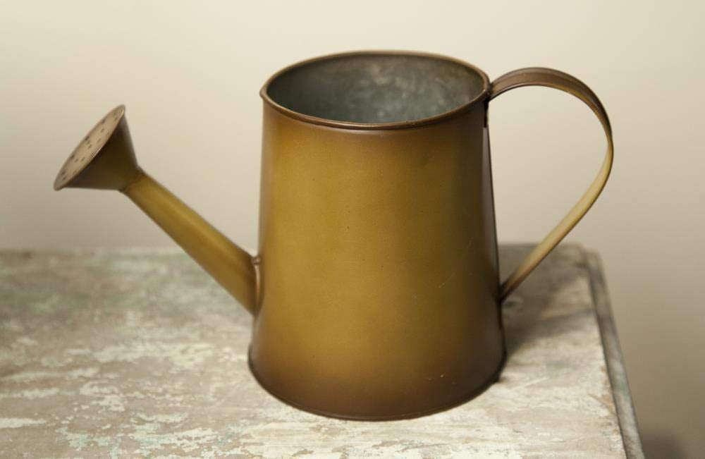 Manual IMFSWF Metal Fall Brown Watering Can - AT TEN Distribution