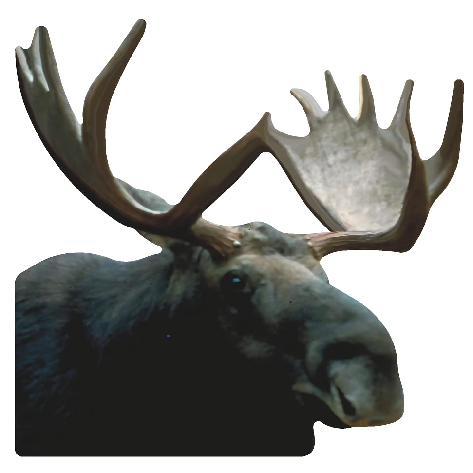 Moose Head Facing Right 34 inch Cardboard Cutout Standee Standup - AT TEN Distribution