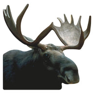 Moose Head Facing Right 34 inch Cardboard Cutout Standee Standup - AT TEN Distribution