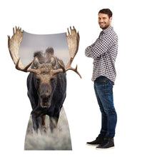 Load image into Gallery viewer, Moose Life - Size Cardboard Cutout - AT TEN Distribution
