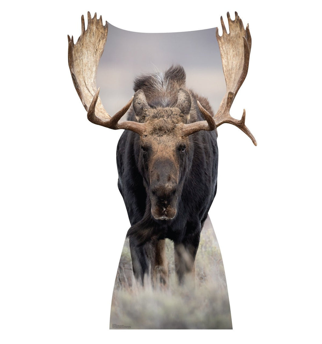Moose Life - Size Cardboard Cutout - AT TEN Distribution