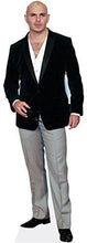 Load image into Gallery viewer, Pitbull Life Size Cutout - AT TEN Distribution

