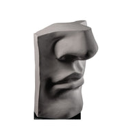 Plaster Face Cardboard Cutout 2798 - AT TEN Distribution