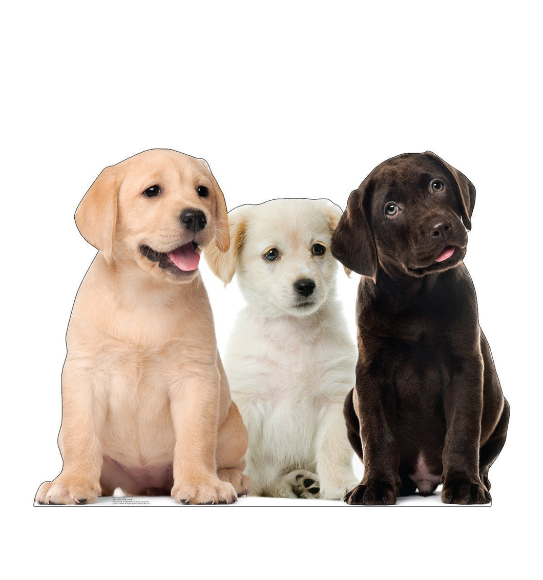 Puppy Group Life - Size Cardboard Cutout - AT TEN Distribution