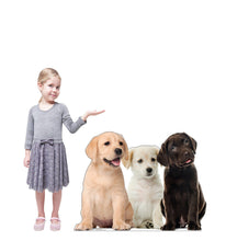 Load image into Gallery viewer, Puppy Group Life - Size Cardboard Cutout - AT TEN Distribution
