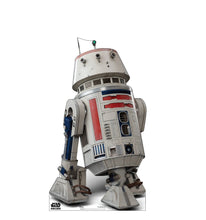 Load image into Gallery viewer, R5 - D4 Cardboard Cutout | 5092 - AT TEN Distribution
