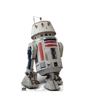R5 - D4 Cardboard Cutout | 5092 - AT TEN Distribution