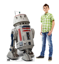 Load image into Gallery viewer, R5 - D4 Cardboard Cutout | 5092 - AT TEN Distribution

