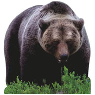 SP12131 Pouncing Brown Bear Mean Animals Cardboard Cutout - AT TEN Distribution