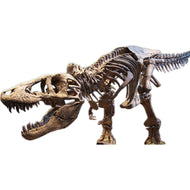 SP12140 Tyrannosaurus Rex T - Rex Skeleton Jurassic Cardboard Cutout - AT TEN Distribution