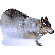 SP12469 Wolf in Snow Cardboard Cutout Standee Standup - AT TEN Distribution