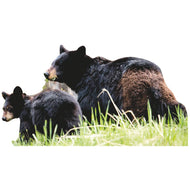 SP12470 Black Bear and Cub Cardboard Cutout Standee Standup - AT TEN Distribution