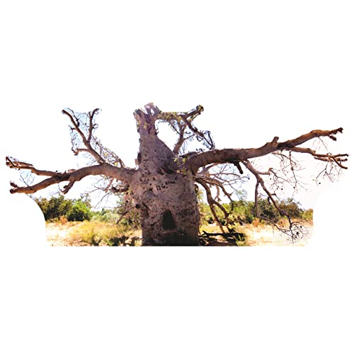 SP12625 Boab Prison Tree Most Famous Trees Cardboard Cutout Standee Standup - AT TEN Distribution