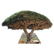 SP12628 Socotra Dragon Blood Trees Cardboard Cutout Standee Standup - AT TEN Distribution