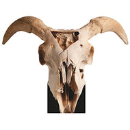 SP12636 4x3ft Goat Skull Sin Icon Baphomet Satan Cardboard Cutout Standee Standup - AT TEN Distribution