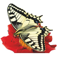 SP12645 Butterfly Old World Swallowtail on Flower Cardboard Cutout Standee Standup - AT TEN Distribution