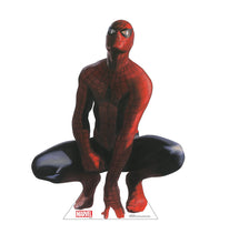 Load image into Gallery viewer, Spider - Man (Marvel Timeless Collection) 3566 - AT TEN Distribution
