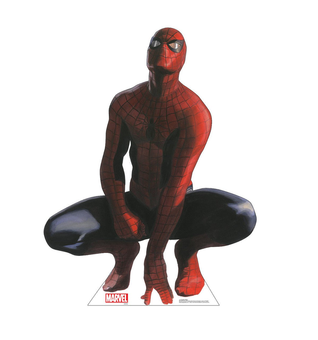 Spider - Man (Marvel Timeless Collection) 3566 - AT TEN Distribution