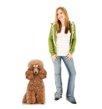 Load image into Gallery viewer, Toy Poodle Life - Size Cardboard Cutout - AT TEN Distribution
