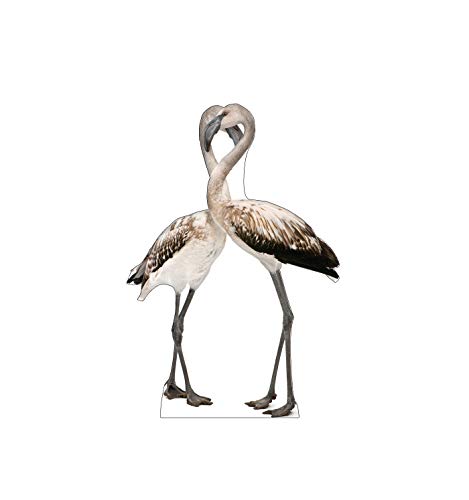 Advanced Graphics Flamingos Life Size Cardboard Cutout Standup