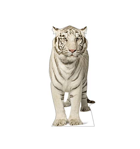 Advanced Graphics White Tiger Life Size Cardboard Cutout Standup