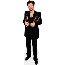 Load image into Gallery viewer, Harry E. Styles (Awards) Life Size Cutout
