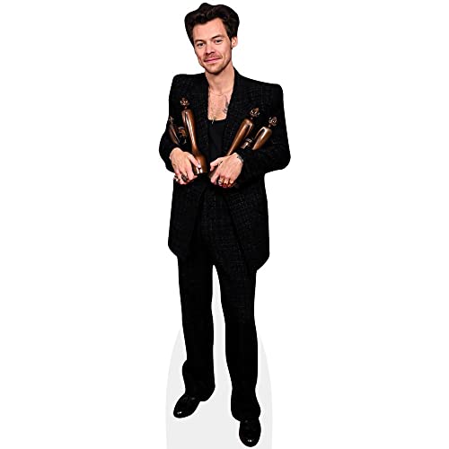 Harry E. Styles (Awards) Life Size Cutout