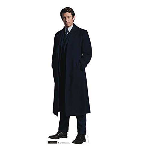 Advanced Graphics Theseus Scamander Life Size Cardboard Cutout Standup - Fantastic Beasts: The Secret of Dumbledore (2022 Film)